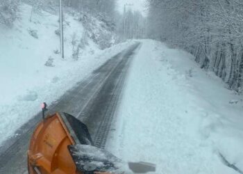 Ένα εκχιονιστικό μηχάνημα αποχιονίζει έναν δρόμο καλυμμένο με χιόνι στη Φλώρινα, με δέντρα και στις δύο πλευρές.