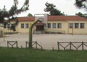 Εορδαία: Έρχονται κοπές δέντρων σε σχολείο, λόγω επικινδυνότητας