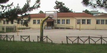 Εορδαία: Έρχονται κοπές δέντρων σε σχολείο, λόγω επικινδυνότητας