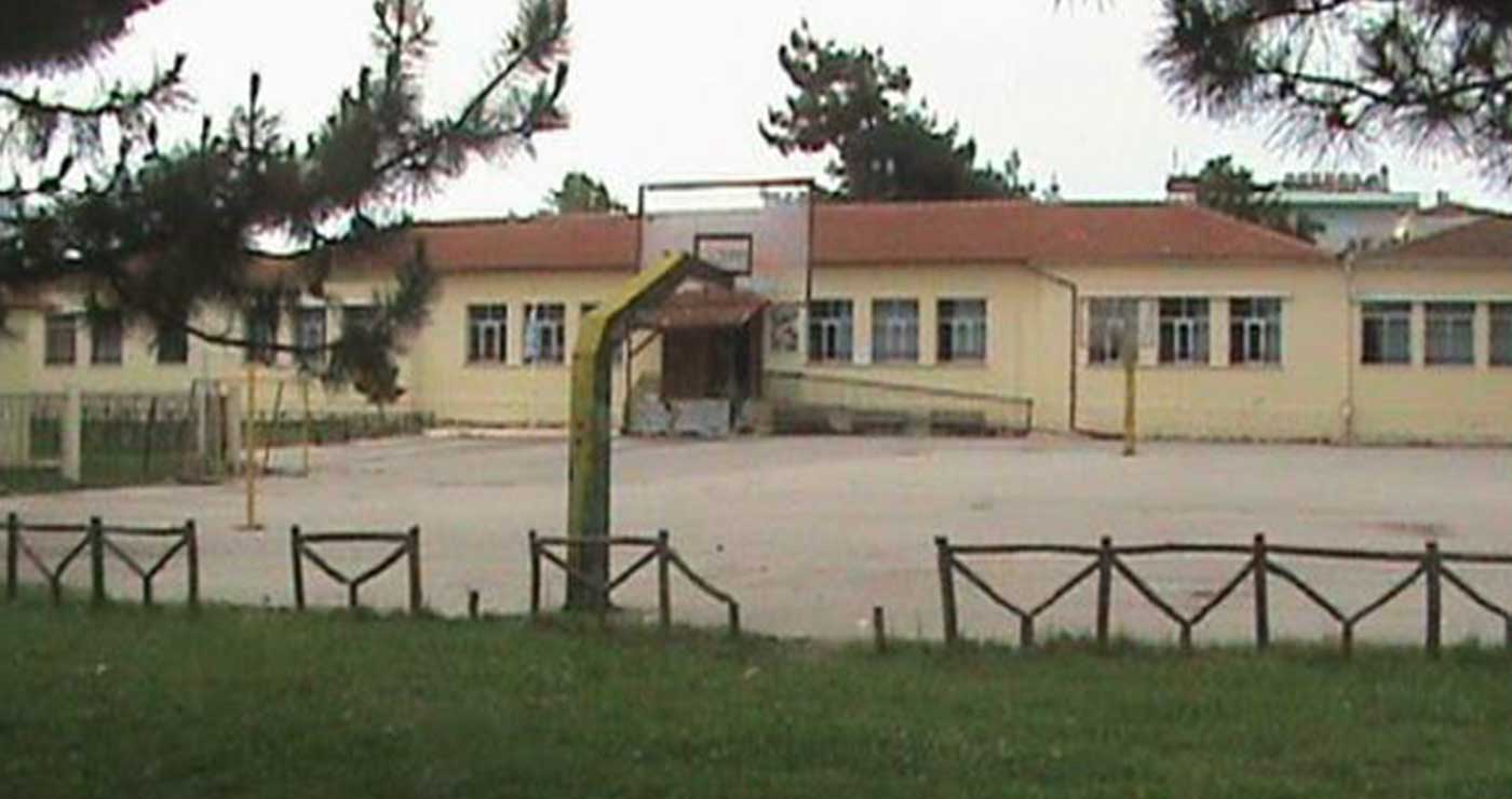 Εορδαία: Έρχονται κοπές δέντρων σε σχολείο, λόγω επικινδυνότητας