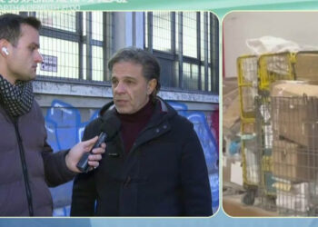 Απίστευτες καθυστερήσεις στις παραδόσεις δεμάτων από τα ΕΛΤΑ – Τι έχει συμβεί και δημιουργήθηκαν «βουνά»