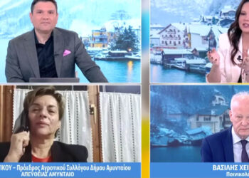 Συνάντηση αγροτών-πρωθυπουργού – Τι είπε η Διαμάντω Κρητικού στο Mega