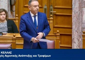 Ο Υφυπουργός Αγροτικής Ανάπτυξης και Τροφίμων, Χρήστος Κέλλας, μιλάει στη Βουλή σχετικά με την ευλογιά αιγοπροβάτων.