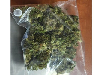 Γρεβενά: 31χρονος είχε στο αυτοκίνητό του πάνω από 17 γραμμάρια κάνναβη και συνελήφθη για κατοχή