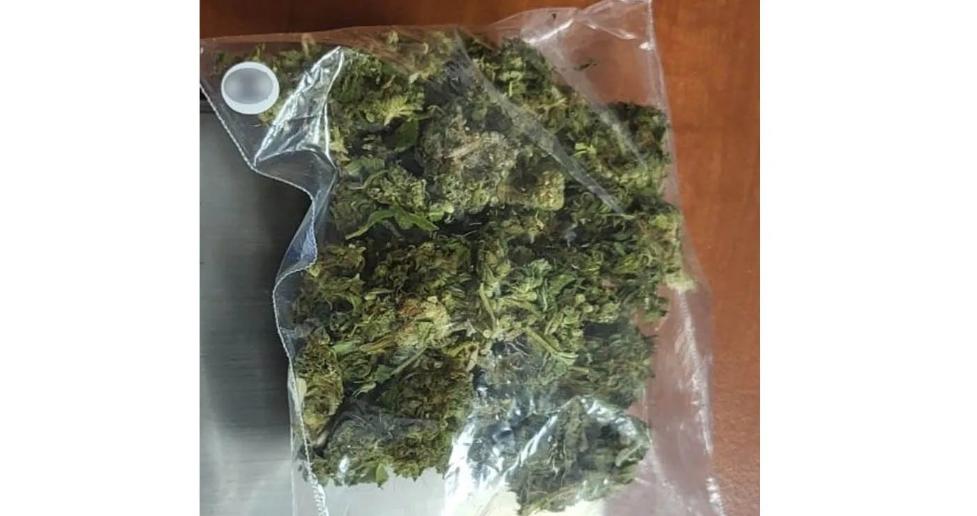 Γρεβενά: 31χρονος είχε στο αυτοκίνητό του πάνω από 17 γραμμάρια κάνναβη και συνελήφθη για κατοχή