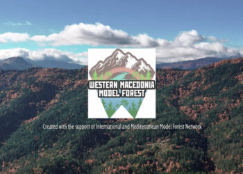 Νέο βίντεο αφιερωμένο στο Πρότυπο Δάσος Δυτικής Μακεδονίας – Εντυπωσιακές εικόνες