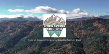 Νέο βίντεο αφιερωμένο στο Πρότυπο Δάσος Δυτικής Μακεδονίας – Εντυπωσιακές εικόνες