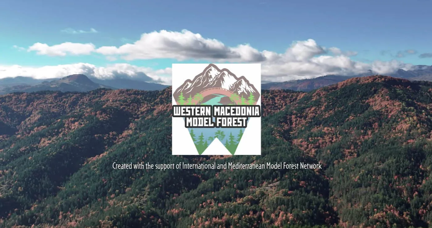 Νέο βίντεο αφιερωμένο στο Πρότυπο Δάσος Δυτικής Μακεδονίας – Εντυπωσιακές εικόνες