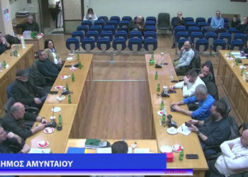 Αντιπαράθεση και πάλι για τα λεφτά των Αναργύρων, στο ΔΣ Αμυνταίου