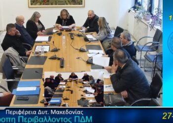 Χρ. Μπαρδάκας σε Πολ. Φαρμάκη: «Παραπλανηθήκαμε ως επιτροπή- Τι είμαστε εμείς πιόνια, και εσείς η βασίλισσα;»