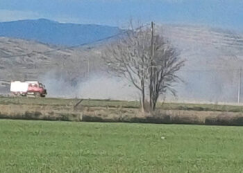 Φωτιά στον κάμπο της Αρδάσσας – Επιχείρηση κατάσβεσης παρά τους ισχυρούς ανέμους