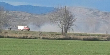 Φωτιά στον κάμπο της Αρδάσσας – Επιχείρηση κατάσβεσης παρά τους ισχυρούς ανέμους