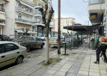 Σε πλήρη εξέλιξη οι εργασίες κλαδέματος από την Αντιδημαρχία Πρασίνου στην Οδό 25ης Μαρτίου στην Πτολεμαΐδα (ρεπορτάζ της Κούλας Πουλασιχίδου)