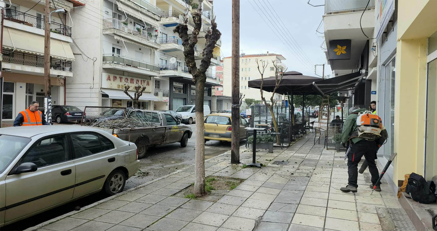 Σε πλήρη εξέλιξη οι εργασίες κλαδέματος από την Αντιδημαρχία Πρασίνου στην Οδό 25ης Μαρτίου στην Πτολεμαΐδα (ρεπορτάζ της Κούλας Πουλασιχίδου)