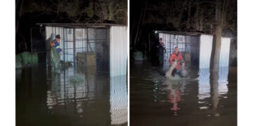 Διάσωση 4 σκύλων από την Πυροσβεστική σε πλημμύρα στους Μανιάκους Καστοριάς (Βίντεο)