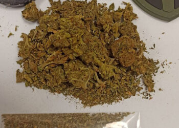 Γρεβενά: Σύλληψη 21χρονης για κατοχή ναρκωτικών – Κατασχέθηκαν 20 γρ. ακατέργαστης κάνναβης