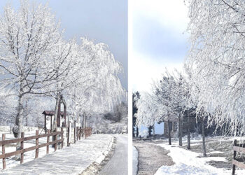 Παραμυθένιο τοπίο στο Νυμφαίο Φλώρινας με παγωμένα δέντρα (Φωτογραφίες)