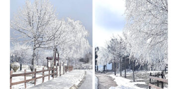 Παραμυθένιο τοπίο στο Νυμφαίο Φλώρινας με παγωμένα δέντρα (Φωτογραφίες)