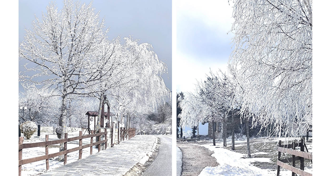 Παραμυθένιο τοπίο στο Νυμφαίο Φλώρινας με παγωμένα δέντρα (Φωτογραφίες)