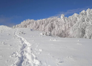Βόλτα στο χιονισμένο Μουρίκι με την Ορειβατική Λέσχη Εορδαίας