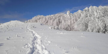 Βόλτα στο χιονισμένο Μουρίκι με την Ορειβατική Λέσχη Εορδαίας