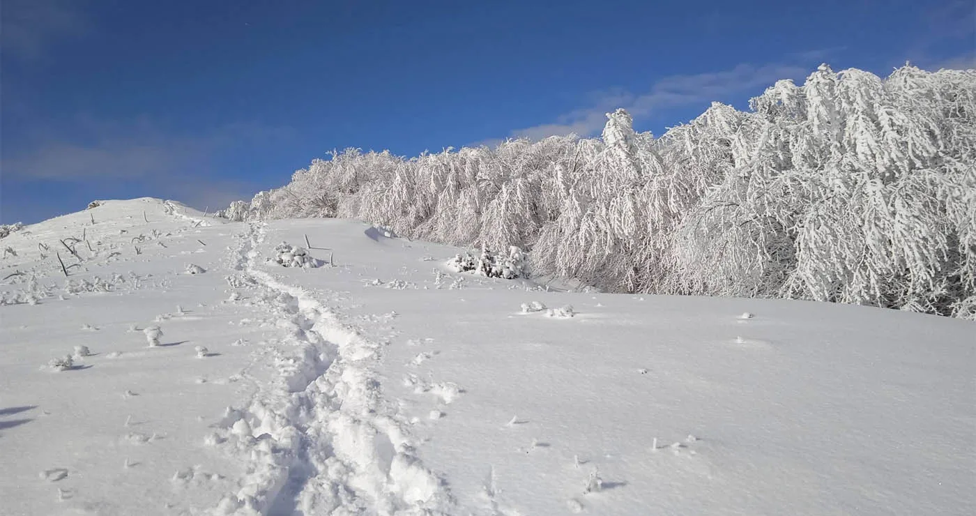 Βόλτα στο χιονισμένο Μουρίκι με την Ορειβατική Λέσχη Εορδαίας