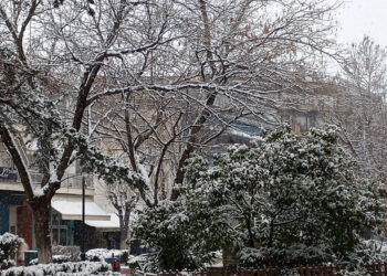 Είδαμε “άσπρη” μέρα – Πυκνή χιονόπτωση στην Πτολεμαΐδα