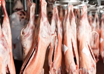 Αγωνία για τι σφαγές αμνοεριφίων στην Π.Ε. Κοζάνης- Παράταση του περιορισμού μέχρι 31 Μαρτίου