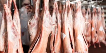 Αγωνία για τι σφαγές αμνοεριφίων στην Π.Ε. Κοζάνης- Παράταση του περιορισμού μέχρι 31 Μαρτίου