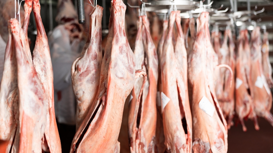 Αγωνία για τι σφαγές αμνοεριφίων στην Π.Ε. Κοζάνης- Παράταση του περιορισμού μέχρι 31 Μαρτίου