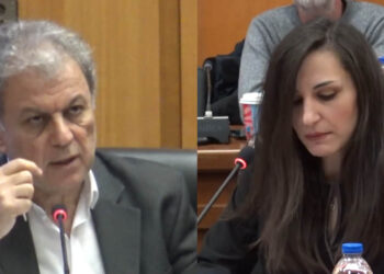 Συμβασιούχοι ΔΥΠΑ: Λήγουν οι συμβάσεις τους – Ζήτησαν στήριξη από Περιφερειακό Συμβούλιο Δυτικής Μακεδονίας  (Βίντεο Top Channel)