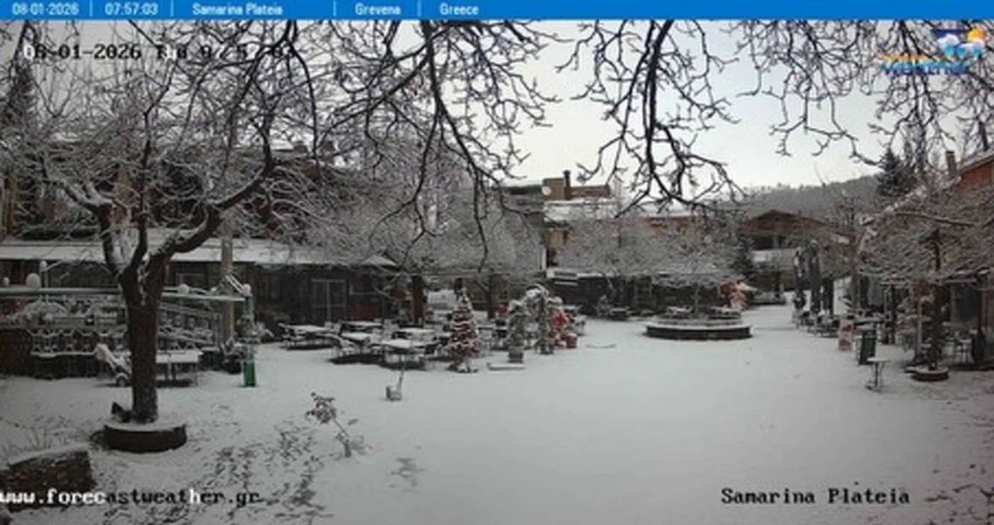 Πυκνές χιονοπτώσεις στα ορεινά της Δυτικής Μακεδονίας – Δείτε ζωντανή εικόνα