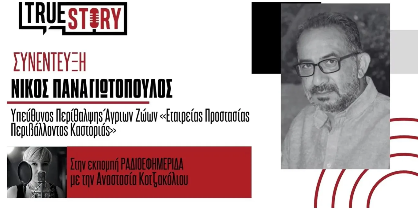 Ν. Παναγιωτόπουλος: Τι πρέπει να κάνουμε αν συναντήσουμε λύκο