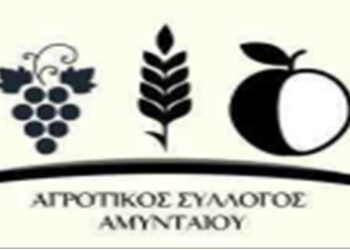 Ο Αγροτικός Σύλλογος Αμυνταίου για το Αγροτικό Συλλαλητήριο στην Αθήνα