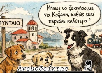 Δήμος Αμυνταίου 2.790 αδέσποτα ζουν εντός των ορίων του! – H είδηση Πλακεντά που έκανε αίσθηση & η σύσκεψη για τη Σήραγγα Κλεισούρας- Ο ΑΝΕΜΟΔΕΙΚΤΗΣ σχολιάζει