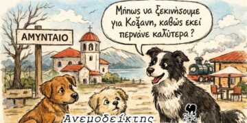 Δήμος Αμυνταίου 2.790 αδέσποτα ζουν εντός των ορίων του! – H είδηση Πλακεντά που έκανε αίσθηση & η σύσκεψη για τη Σήραγγα Κλεισούρας- Ο ΑΝΕΜΟΔΕΙΚΤΗΣ σχολιάζει