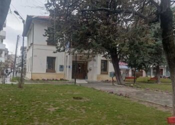 Πτολεμαΐδα: Κοπή επικίνδυνου δέντρου μπροστά στη Βιβλιοθήκη