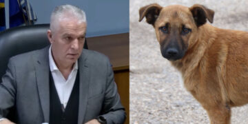 Σχεδόν 100.000 ευρώ για τα αδέσποτα στον Δήμο Αμυνταίου – 13 επιθέσεις το 2025, το 2ο συχνότερο είδος καταγεγραμμένων συμβάντων στον Δήμο