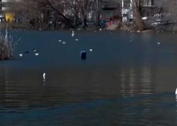 Καστοριά: Σε πολύ υψηλά επίπεδα η στάθμη της λίμνης – Άνοιξαν το θυρόφραγμα (video)