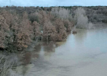Παραμένει αυξημένη η στάθμη της Λίμνης της ΤΚ Περδίκκα του Δήμου Εορδαίας (Ρεπορτάζ της Κούλας Πουλασιχίδου)