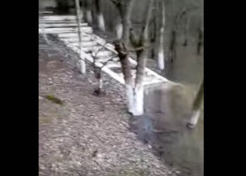 Ανησυχία για τη στάθμη στη λίμνη Περδίκκα – Έκκληση για προσοχή από την Κοινότητα (Βίντεο)