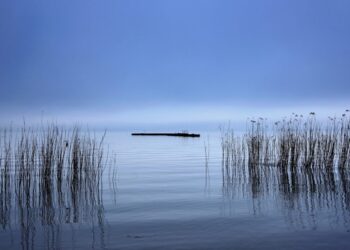 Βαρκάδα στα κατανυκτικά ασκηταριά της Μεγάλης Πρέσπας