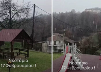 Χιονόπτωση και στο Νεστόριο Καστοριάς (Βίντεο)