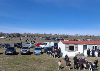 Κούλουμα με μαζική συμμετοχή στην Ολυμπιάδα Εορδαίας – Γιορτή στο Αεραθλητικό Κέντρο