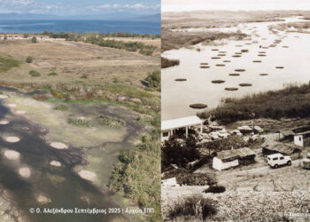 Πρέσπες: Τα «πελαΐζια» επιστρέφουν, θυμίζοντας την ιστορία και την αντοχή των υγροτόπων