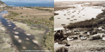 Πρέσπες: Τα «πελαΐζια» επιστρέφουν, θυμίζοντας την ιστορία και την αντοχή των υγροτόπων
