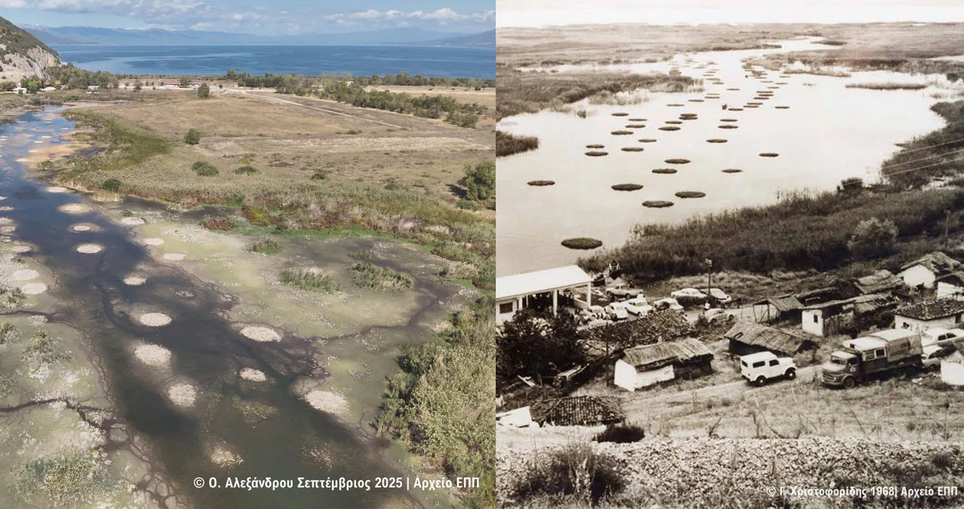 Πρέσπες: Τα «πελαΐζια» επιστρέφουν, θυμίζοντας την ιστορία και την αντοχή των υγροτόπων