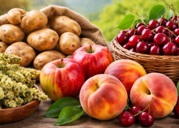 Πέντε προϊόντα της Δ. Μακεδονίας στον δρόμο για πιστοποίηση ΠΟΠ