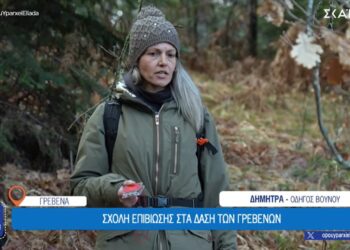 Γρεβενά: Σχολή επιβίωσης στα δάση των Γρεβενών (VIDEO)