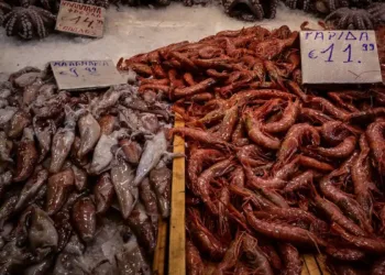 Καθαρά Δευτέρα: Πόσο θα κοστίσει το σαρακοστιανό τραπέζι